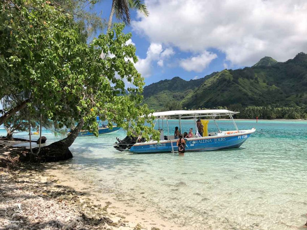 Coco Beach sur Moorea dans mon article Polynésie française : palmarès d’un mois de voyage dans ces îles du Pacifique #polynesiefrancaise #polynesie #oceanie #voyage #paradis #mer #cocobeach #moorea