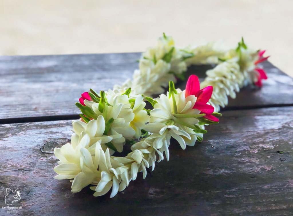Collier en fleurs en signe de bienvenue sur les îles de la Polynésie française dans mon article Polynésie française : palmarès d’un mois de voyage dans ces îles du Pacifique #polynesiefrancaise #polynesie #oceanie #voyage #paradis #mer #maupiti 