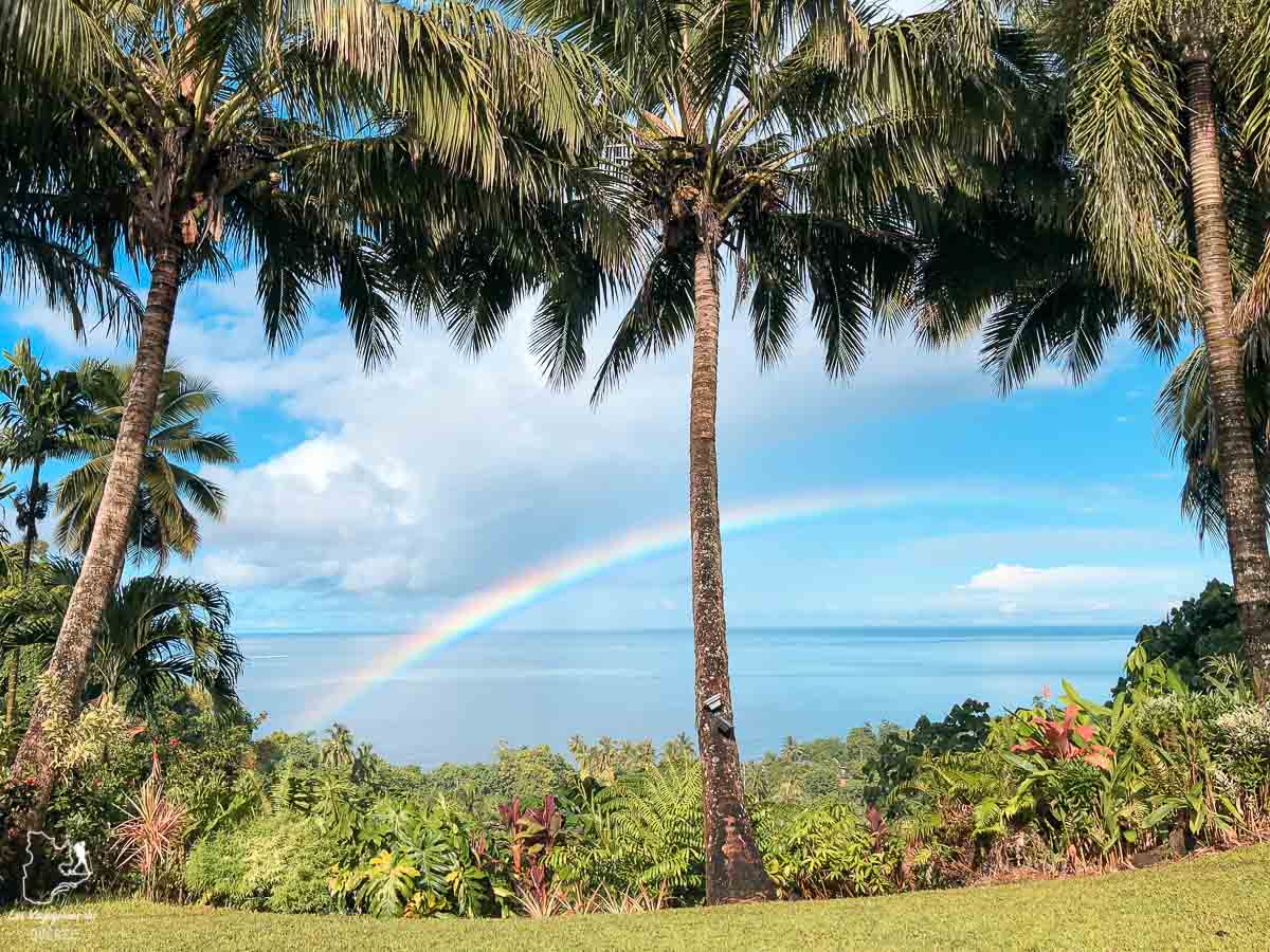 Sur l'île de Tahiti dans mon article Polynésie française : palmarès d’un mois de voyage dans ces îles du Pacifique #polynesiefrancaise #polynesie #oceanie #voyage #paradis #mer #tahiti