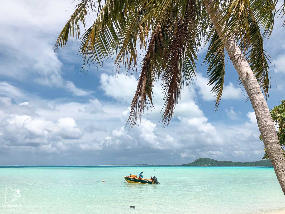 L'île de Maupiti dans mon article Polynésie française : palmarès d’un mois de voyage dans ces îles du Pacifique #polynesiefrancaise #polynesie #oceanie #voyage #paradis #mer #maupiti 