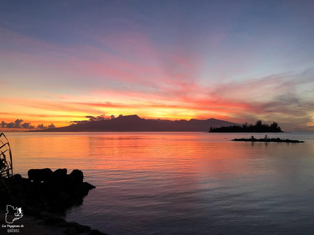 Lever de soleil sur l'île de Moorea dans mon article Polynésie française : palmarès d’un mois de voyage dans ces îles du Pacifique #polynesiefrancaise #polynesie #oceanie #voyage #paradis #mer #moorea #leverdesoleil