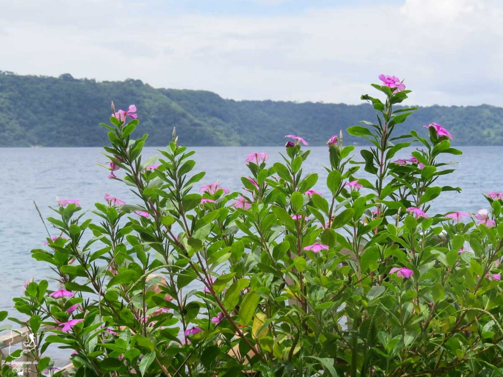 La laguna Apoyo dans mon article Mon voyage au Nicaragua en 10 coups de cœur et incontournables à visiter #nicaragua #voyage #ameriquecentrale #apoyo