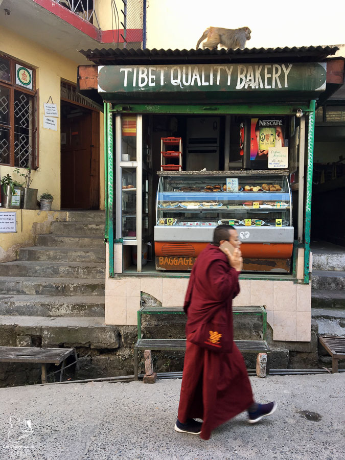 Mcleod Ganj, une ambiance tibétaine dans le nord de l'Inde