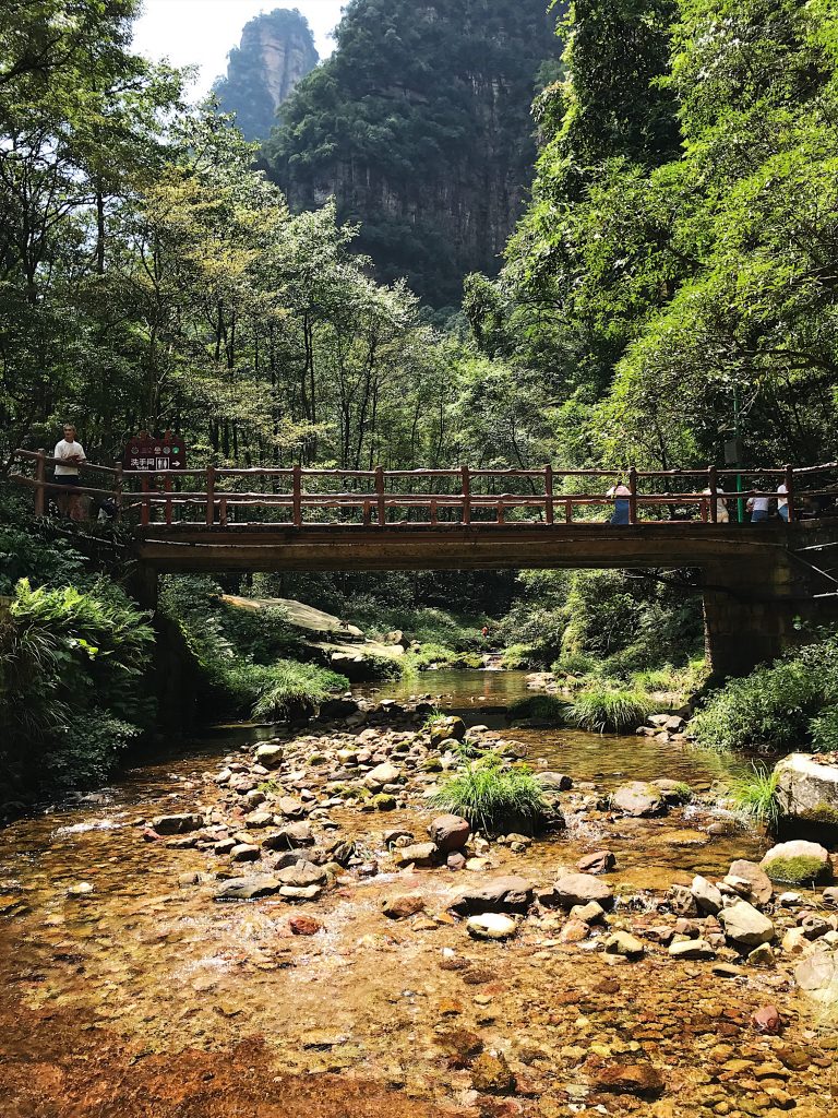 Pont qui traverse une rivière dans le parc de Zhangjiajie dans notre article Parc national de Zhangjiajie en Chine : Petit guide pour visiter ce parc #zhangjiajie #chine #avatar #asie #voyage #trek 