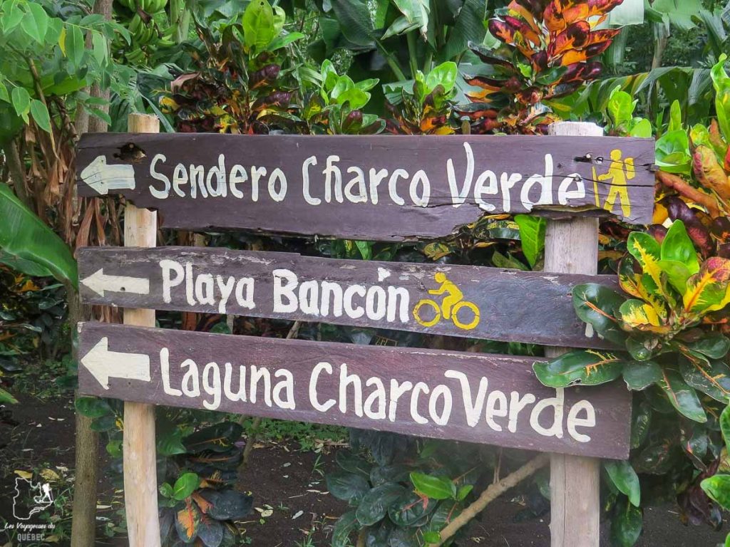 Dans le parc de Charco Verde à Ometepe dans mon article Mon voyage au Nicaragua en 10 coups de cœur et incontournables à visiter #nicaragua #voyage #ameriquecentrale #ometepe