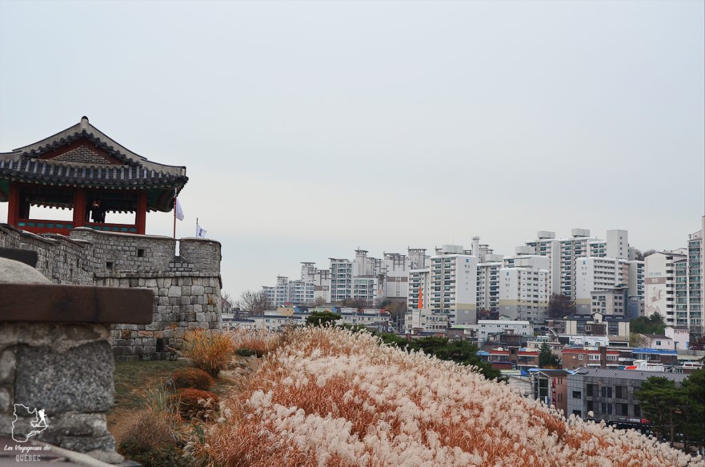 Suwon et sa forteresse Hwaseong : Que faire dans cette ville de Corée du Sud #suwon #coreedusud #asie #voyage #hwaseong