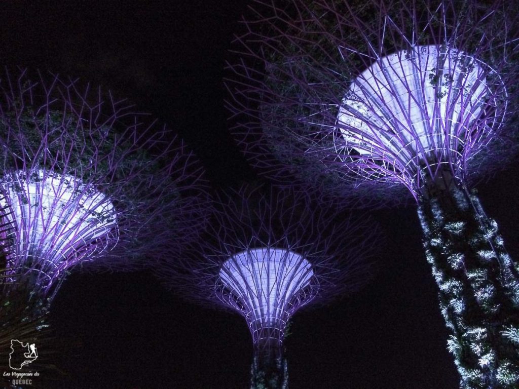 Arbres illuminés de Singapour dans notre article Où partir seule en tant que femme : 12 destinations pour un voyage en solo #voyage #femme #voyagersolo #singapour