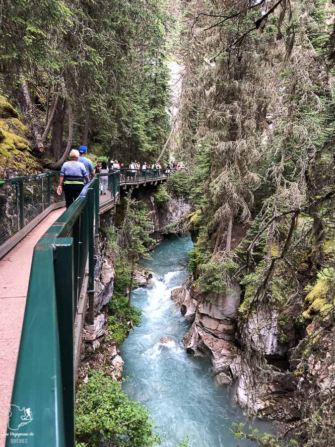Johnston Canyon dans les Rocheuses canadiennes dans notre article Rocheuses canadiennes : road trip de 3 jours entre Banff et Jasper #rocheuses #rocheusescanadiennes #ouestcanadien #canada #voyage #montagne #alberta #banff