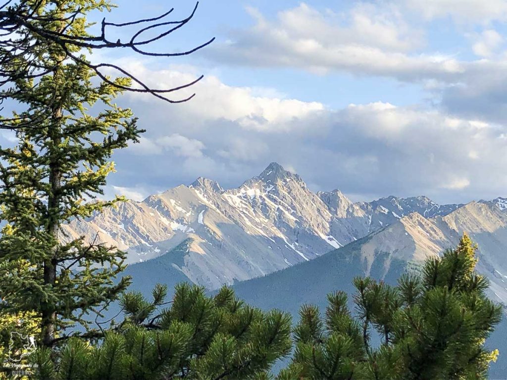 Les montagnes des Rocheuses canadiennes dans notre article Rocheuses canadiennes : road trip de 3 jours entre Banff et Jasper #rocheuses #rocheusescanadiennes #ouestcanadien #canada #voyage #montagne #alberta #roadtrip