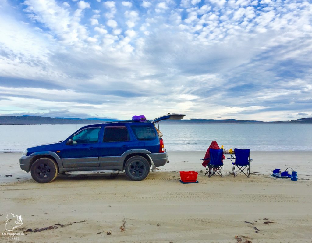 Que faire en Tasmanie : Mon itinéraire de road trip à travers l’île de Tasmanie #tasmanie #australie #ile #voyage #roadtrip