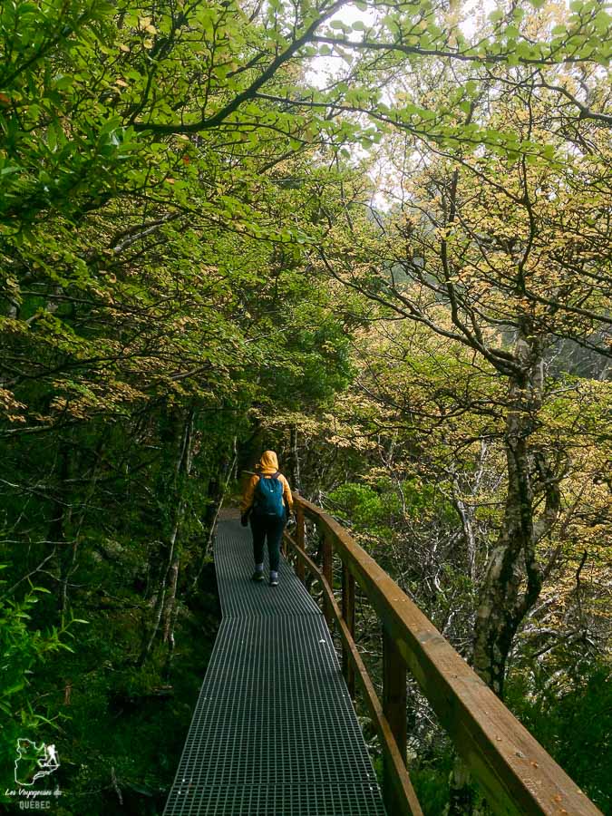 La Cadle Mountain, à faire lors d'un voyage en Tasmanie dans notre article Que faire en Tasmanie : Mon itinéraire de road trip à travers l’île de Tasmanie #tasmanie #australie #ile #voyage #roadtrip