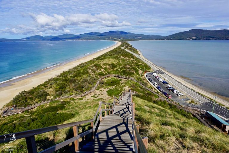 Que Faire En Tasmanie Itinéraire De Road Trip à Travers Lîle De Tasmanie 6764