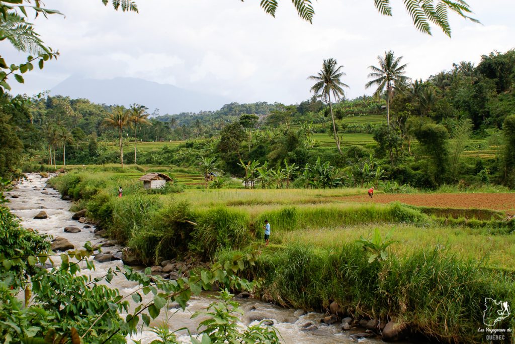 Autre regard sur l'île de Java en Indonésie : Un voyage à Java autrement #java #indonesie #voyage #horsdessentiersbattus #javaautrement #iledejava