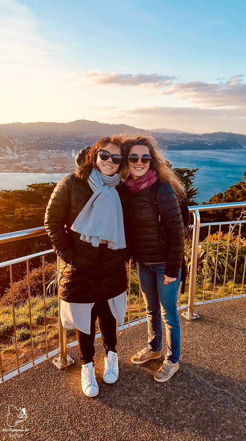 Mont Victoria à Wellington dans notre article sur l'Île du Nord en Nouvelle-Zélande : Incontournables et itinéraire de mon road trip #nouvellezelande #oceanie #voyage #iledunord #roadtrip