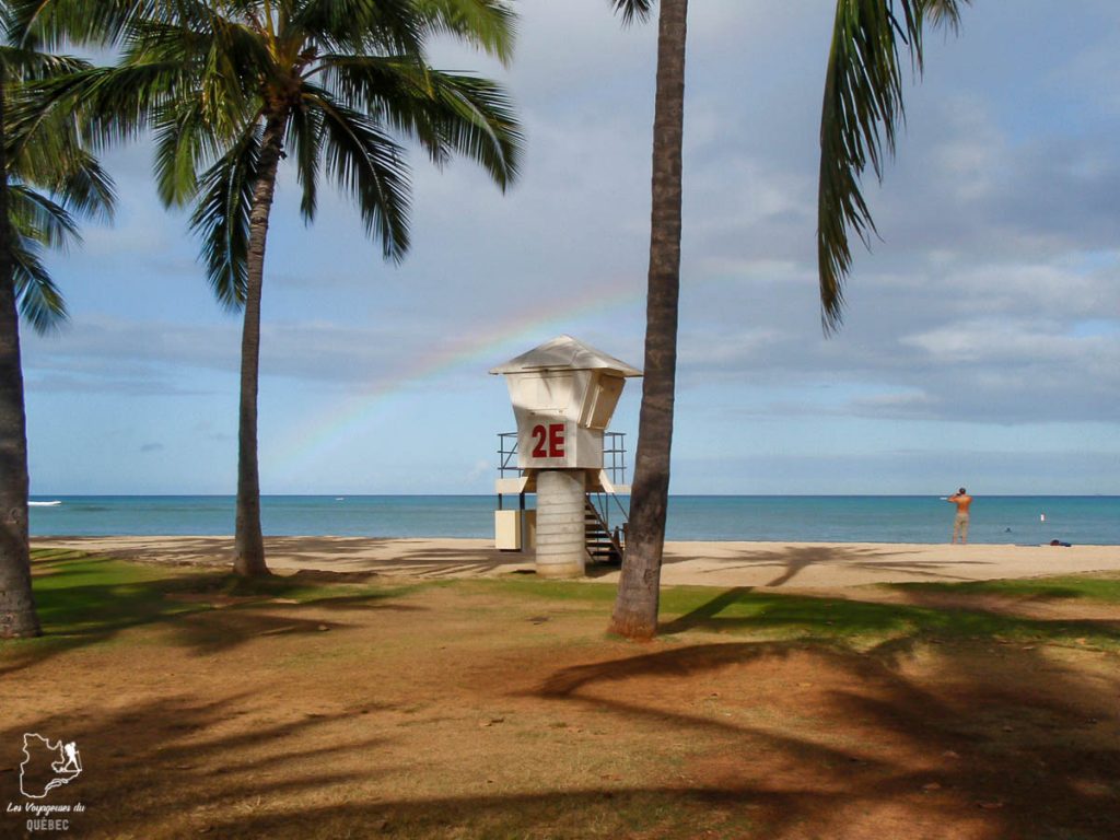 Le North Shore à Oahu à Hawaii dans notre article Waikiki à Hawaii en 10 coups de coeur : destination plage et surf d'Oahu #waikiki #hawaii #oahu #voyage #surf #plage