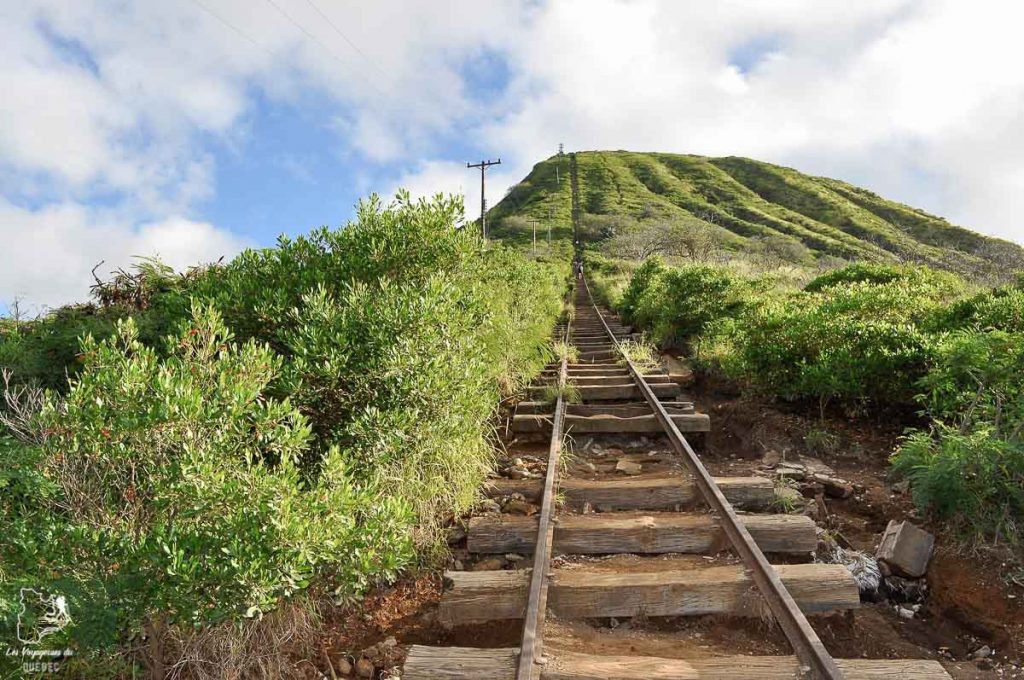 Koko head trail sur l'île d'Oahu dans notre article L'île d'Oahu à Hawaii : Activités incontournables à faire lors d'un road trip #oahu #roadtrip #ile #kawaii