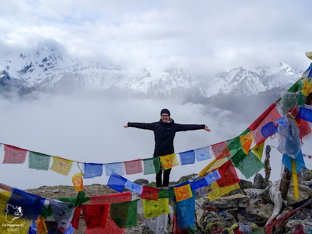 Visiter le Népal : Que faire au Népal en 5 semaines de voyage #nepal #asie #voyage #randonnee #lantang #himalaya