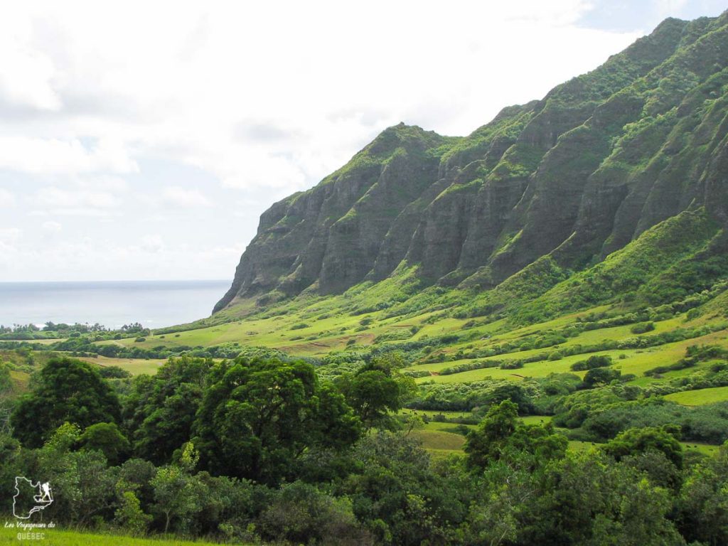 Kualoa Ranch sur l'île d'Oahu dans notre article L'île d'Oahu à Hawaii : Activités incontournables à faire lors d'un road trip #oahu #roadtrip #ile #hawaii