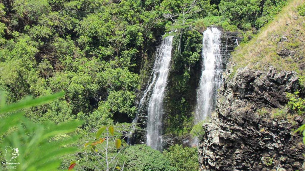 Opaeka'a Fall à visiter à Kauai à Hawaii dans notre article sur Visiter Kauai à Hawaii : 12 incontournables à faire sur l'île de Kauai #kauai #hawaii #voyage #usa #ile #iledekauai #kauaihawaii #Opaekaa #chute