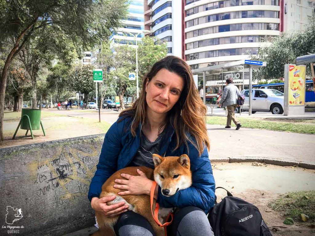 Adopter un chien en voyage, ici à Quito en Équateur dans notre article sur Adopter un chien en voyage : Procédures pour ramener un chien au Canada #chien #adopter #etranger #voyage #procedure