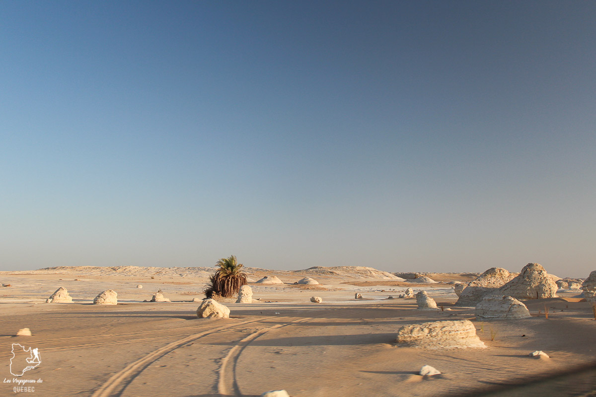 Voyage dans le désert en Égypte dans notre article Le Nil en Égypte : L'itinéraire de mon voyage sur le Nil en train #egypte #nil #afrique #train #voyage #desert