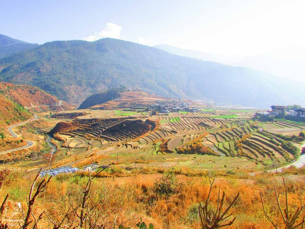 Visiter le Bhoutan naturel, dont les rizières de Bumthang dans notre article Visiter le Bhoutan : Voyage dans ce petit royaume enchanteur hors du temps #bhoutan #asie #voyage
