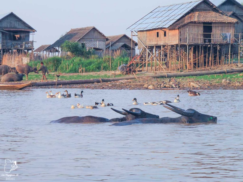 Village authentique sur le Lac Inle dans notre article Voyage au Myanmar : Mes expériences et lieux à visiter au Myanmar #myanmar #birmanie #asie #voyage #itineraire #lacinle