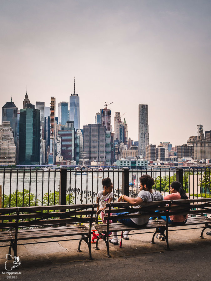 Points de vue de New York depuis la Brooklyn Heights Promenade dans notre article Les meilleurs points de vue de New York et endroits pour photographier la ville #newyork #usa #etatsunis #vue #panoramique #pointsdevue