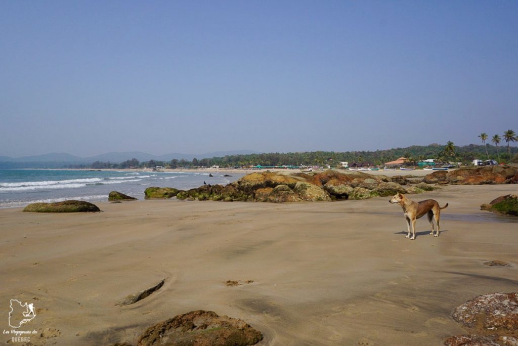 Agonda beach à Goa, la plage du village de mon yoga teacher training en Inde dans notre article Yoga teacher training en Inde : Comment et lequel choisir? #inde #goa #yoga #formation #yogateachertraining #professeur