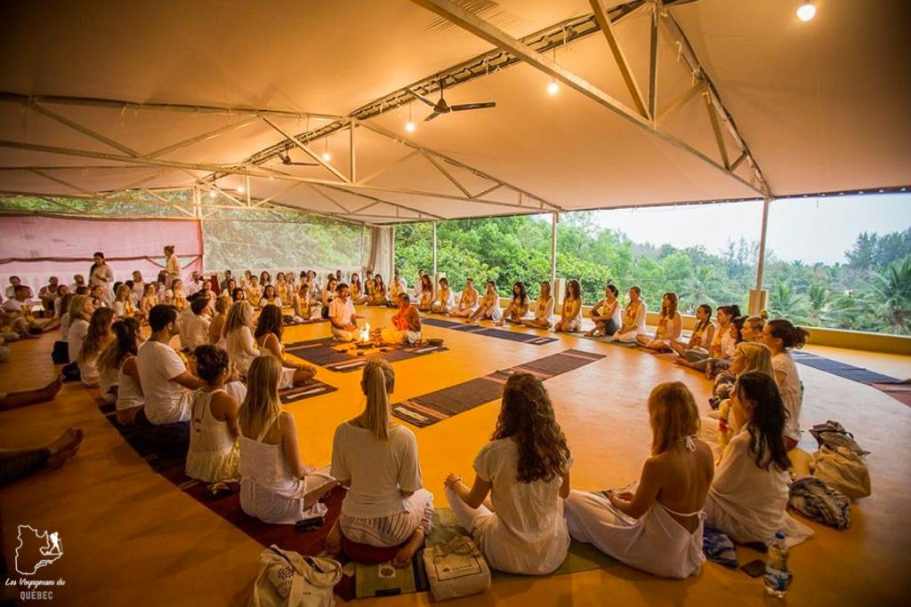 Yoga teacher training en Inde : Comment et lequel choisir? #inde #goa #yoga #formation #yogateachertraining #professeur