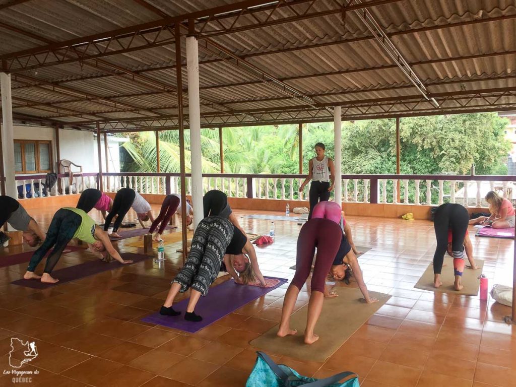 Choisir son école pour le yoga teacher training en Inde dans notre article Yoga teacher training en Inde : Comment et lequel choisir? #inde #goa #yoga #formation #yogateachertraining #professeur