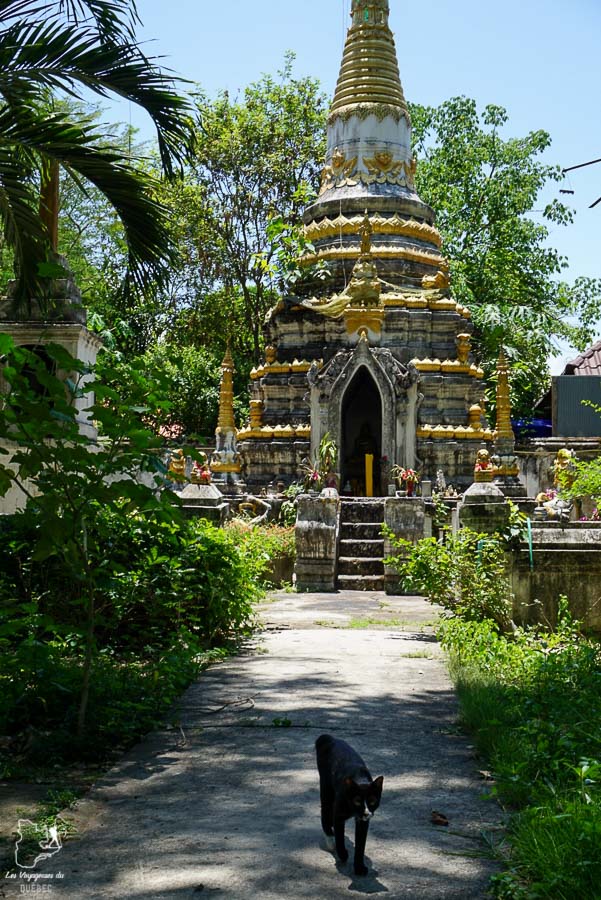 Visiter le nord de la Thaïlande et les temples de Lampang dans notre article Visiter le nord de la Thaïlande hors des sentiers battus #thailande #nord #horsdessentiersbattus #asie #asiedusudest #voyage