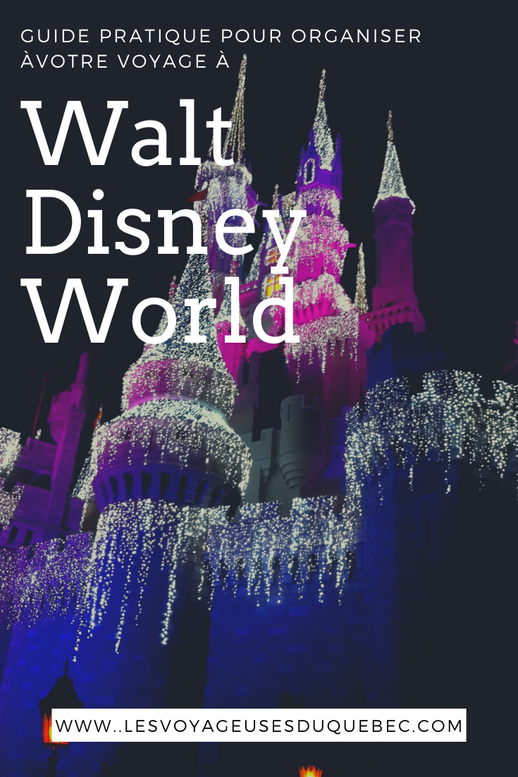Visiter Walt Disney World à Orlando en Floride