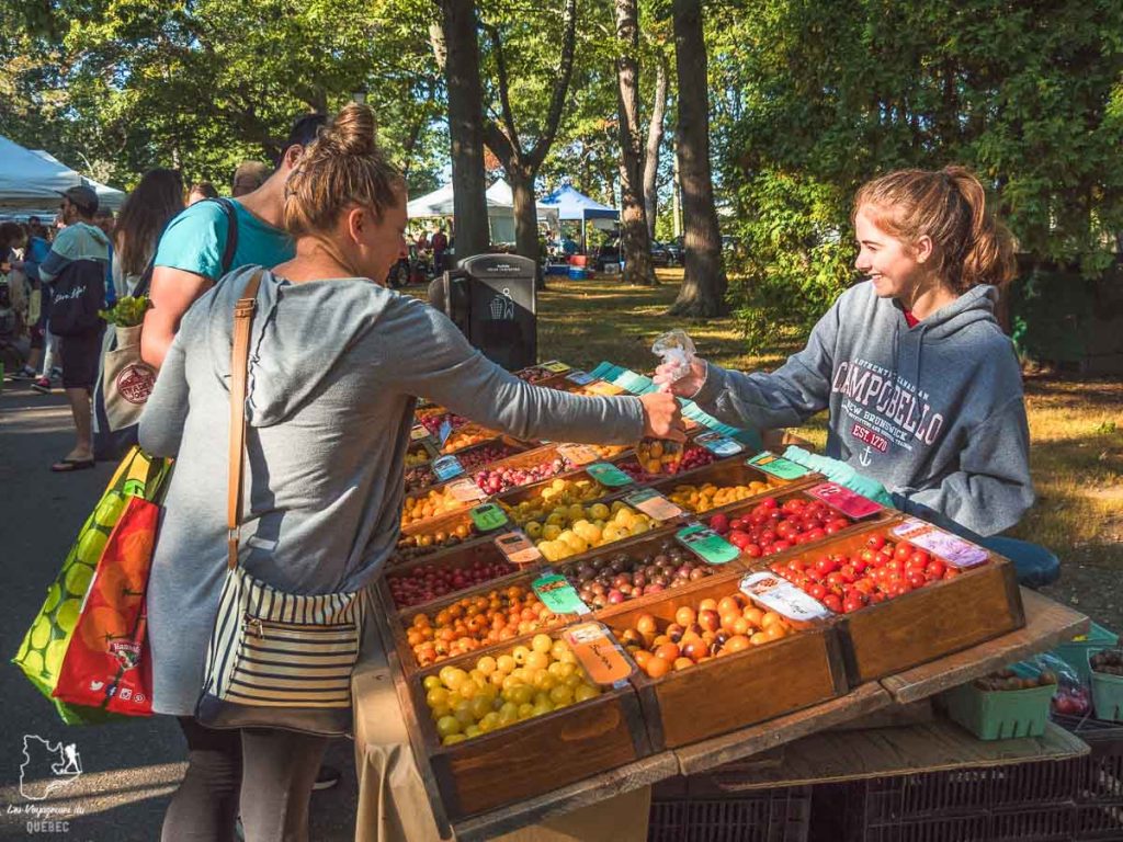Le Farmer's market, à visiter lors d'un week-end à Portland dans notre article Visiter Portland : Quoi faire à Portland dans le Maine pour un weekend gourmand #Portland #Maine #USA #voyage #foodtour