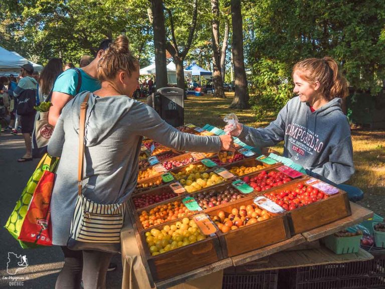 Visiter Portland pour les foodies Quoi faire à Portland dans le Maine