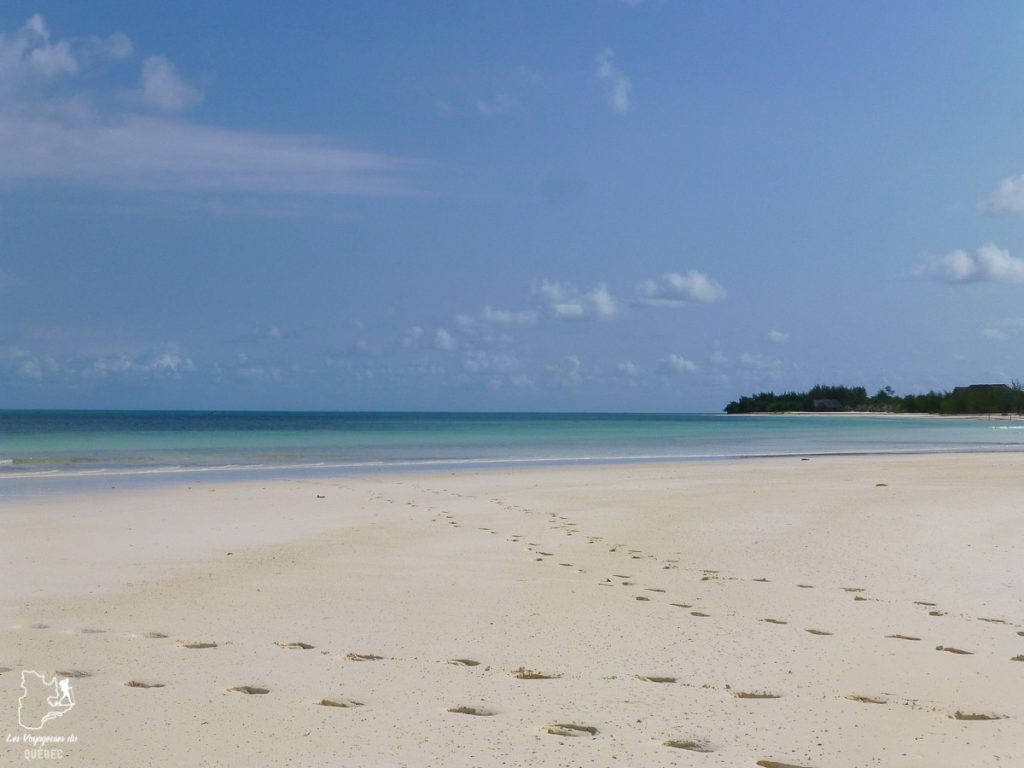 Plongée sous-marine à Zanzibar en Tanzanie dans notre article Plongée sous-marine : 20 destinations de plongée à travers le monde #plongee #plongeesousmarine #voyage #destination