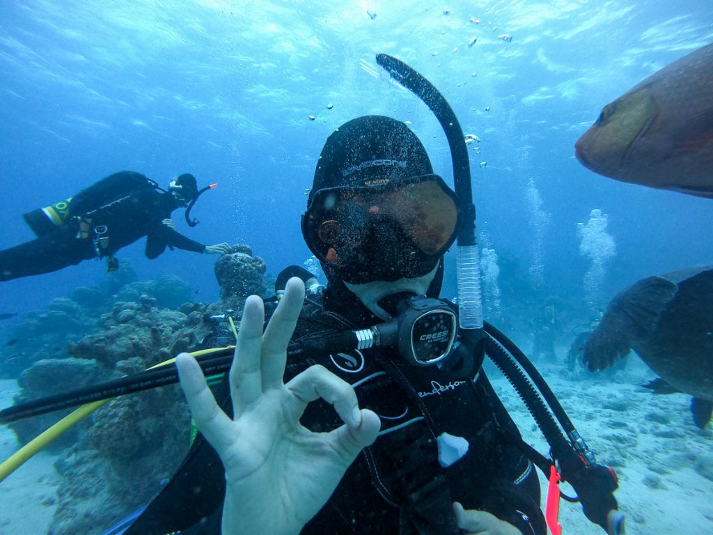 Plongée sous-marine : 20 destinations de plongée à travers le monde #plongee #plongeesousmarine #voyage #destination