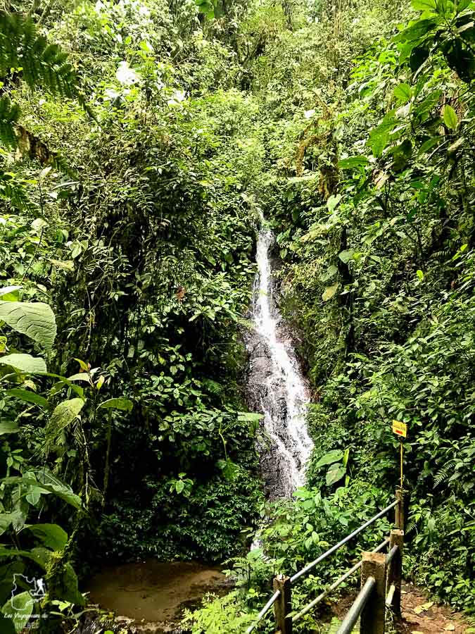 Cascade à Mindo en Équateur dans notre article Mindo en Équateur : Que faire et voir dans ce lieu à la faune et la flore unique #equateur #mindo #ameriquedusud #voyage