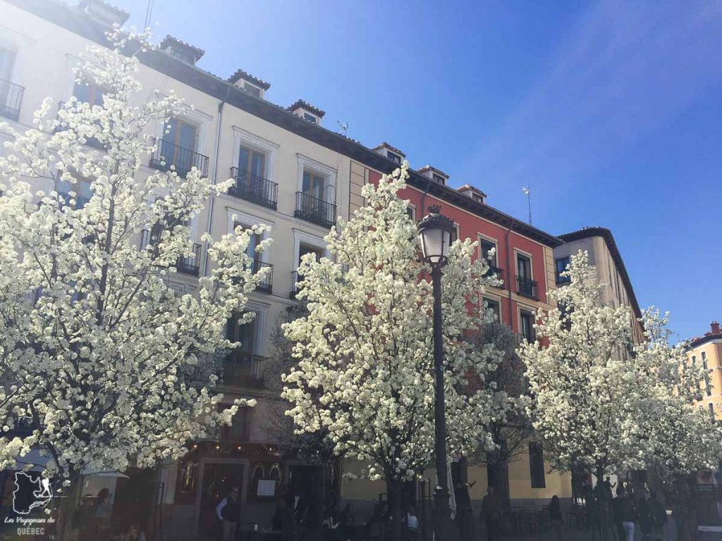 La beauté de la Plaza Mayor à Madrid dans notre article Visiter Madrid en Espagne : Que faire à Madrid lors d’une escale de 2 jours #madrid #espagne #voyage #escale