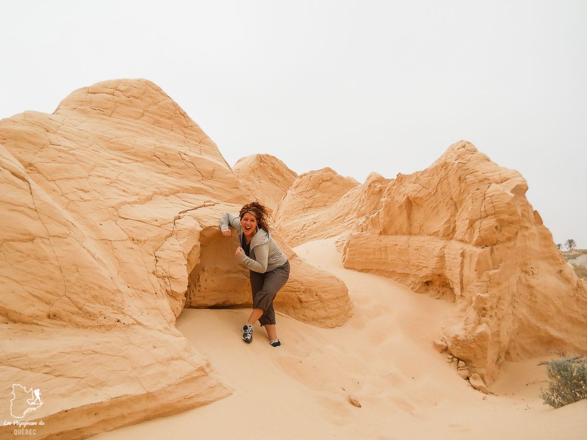 Les dunes du désert du Sahara dans notre article Déserts du monde : L’expérience mystique du Sahara, Thar et Wadi Rum #deserts #desert #sahara #thar #wadirum #voyage