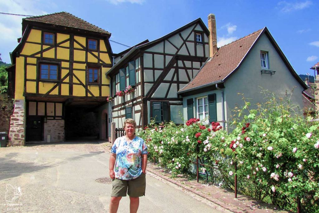 Visiter l'Alsace en France dans notre article Visiter Strasbourg en Alsace et ses environs en 6 itinéraires d'un jour #strasbourg #alsace #france #voyage