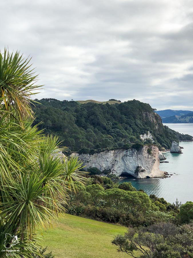 Trek en Nouzelle-Zélande dans notre article Trek en Nouvelle-Zélande : 5 randonnées à faire sur l’île du nord en Nouvelle-Zélande #trek #randonnee #iledunord #nouvellezelande #oceanie #voyage