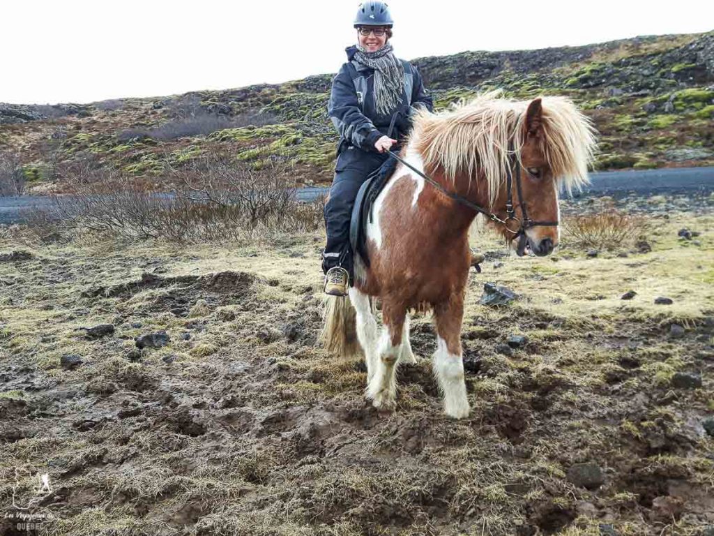 Randonnée à cheval en Islande dans notre article Une semaine en Islande : Mon expérience à visiter l’Islande en solo #islande #unesemaine #voyage #europe #voyageensolo