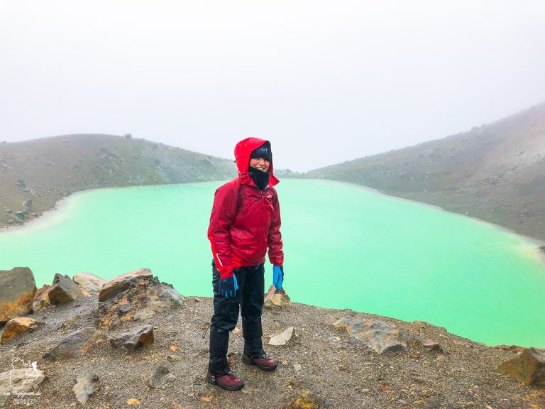 Trek en Nouvelle-Zélande : 5 randonnées à faire sur l’île du nord en Nouvelle-Zélande #trek #randonnee #iledunord #nouvellezelande #oceanie #voyage