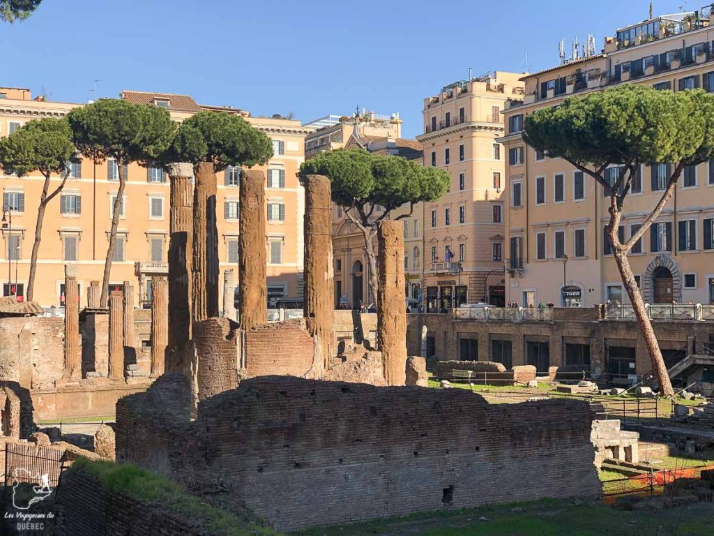 Torre Argentina Cat Sanctuary à Rome dans notre article Visiter Rome en 4 jours : Que faire à Rome, la capitale de l’Italie #rome #italie #europe #voyage