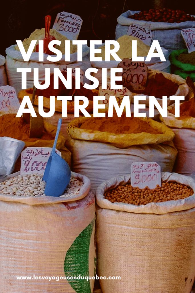 Visiter la Tunisie autrement : mon expérience dans ce pays du nord de l'Afrique