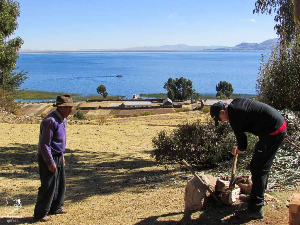 Aider notre famille d'accueil au lac Titicaca au Pérou dans notre article Le lac Titicaca au Pérou : Mon expérience sur 3 îles et dans une famille locale #perou #lactiticaca #titicaca #voyage #ameriquedusud