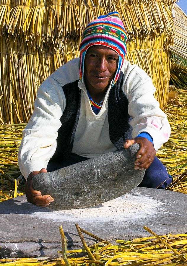 Les bourgeons de totora du lac Titicaca sont comestibles dans notre article Le lac Titicaca au Pérou : Mon expérience sur 3 îles et dans une famille locale #perou #lactiticaca #titicaca #voyage #ameriquedusud