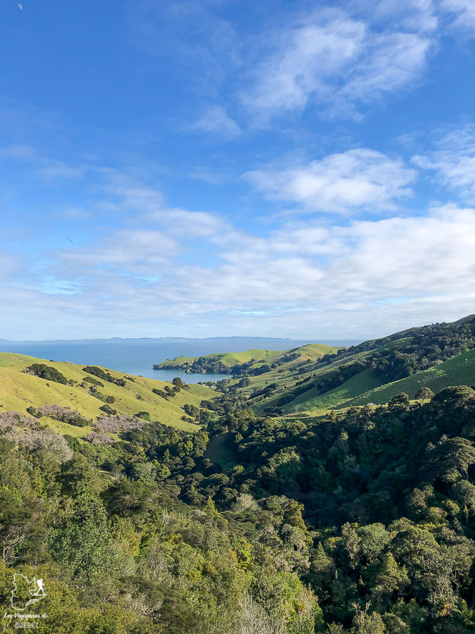 Trek sur la péninsule de Coromandel en Nouzelle-Zélande dans notre article Trek en Nouvelle-Zélande : 5 randonnées à faire sur l’île du nord en Nouvelle-Zélande #trek #randonnee #iledunord #nouvellezelande #oceanie #voyage