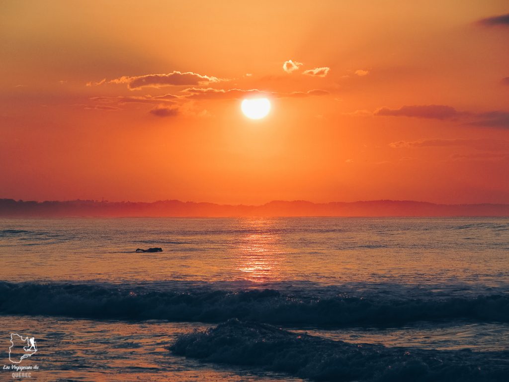 Pura Vida au Costa Rica : Mon séjour au Costa Rica en mode détente #costarica #puravida #voyage #ameriquecentrale